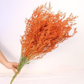 19-23inch Preserved Natural Limonium Bouquet, 28+ Stems Real Fresh Caspia Bellidifolium, Sea Lavender, Baby Breath Flowers, for Wedding Birthday,Home Décor(Orange)