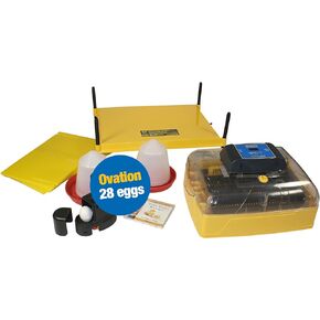 Brinsea Products USAF36CP Ovation 28 Advance Egg Incubator Classroom Pack, One Size