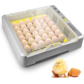 36 Egg Incubator With Auto Egg Turning, Humidity & Temperature Display, Auto Record Incubation Day, for Chicken Duck Quail Eggs With Egg Candler, Water Tank & Adjustable Egg Holder, Gray