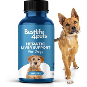 دعم الكبد للكبد من BestLife4Pets - مكمل للكبد المثلي القابل للذوبان والكلاب الهضمي لإزالة السموم من الكبد وامتصاص العناصر الغذائية - طبيعي 100٪ - خالي من المواد الكيميائية أو الإضافات