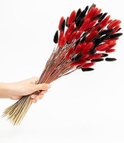 Bunny Tails 110 PCS Bunny Tails Dried Flowers, Black red Dried Bunny Tails, Pampas Grass for Wedding, Rustic Party, Farmhouse Decor,Home Decor in Saudi Arabia