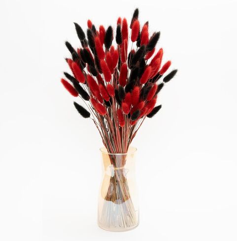 Bunny Tails 110 PCS Bunny Tails Dried Flowers, Black red Dried Bunny Tails, Pampas Grass for Wedding, Rustic Party, Farmhouse Decor,Home Decor in Saudi Arabia