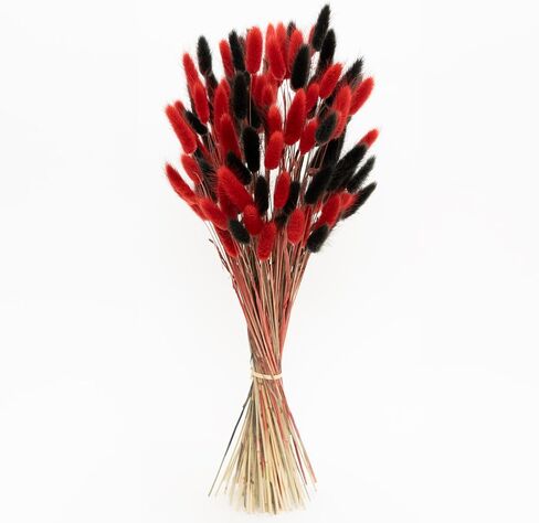 Bunny Tails 110 PCS Bunny Tails Dried Flowers, Black red Dried Bunny Tails, Pampas Grass for Wedding, Rustic Party, Farmhouse Decor,Home Decor in Saudi Arabia
