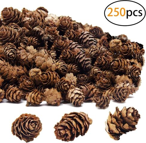 250 PCS Christmas Natural Mini Pine Cones-Thanksgiving Pinecones Ornaments for DIY Crafts, Home Decorations,Fall and Christmas,Wedding Decor in Saudi Arabia