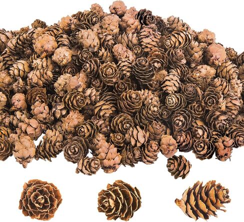 250 PCS Christmas Natural Mini Pine Cones-Thanksgiving Pinecones Ornaments for DIY Crafts, Home Decorations,Fall and Christmas,Wedding Decor in Saudi Arabia