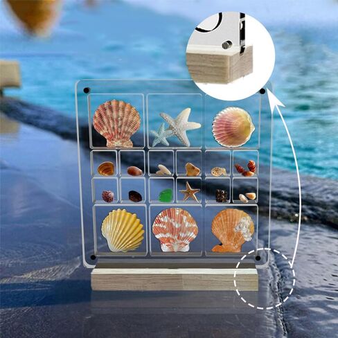 Acrylic Magnetic Seashell Display Box, Seashell Collection Box and Jewellery Display Box, Collection of Seashells for Display, Small Crafts Storage containers (Blend grids, Square) in Saudi Arabia