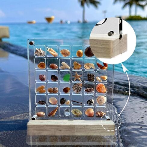 Acrylic Magnetic Seashell Display Box, Seashell Collection Box and Jewellery Display Box, Collection of Seashells for Display, Small Crafts Storage containers (Blend grids, Square) in Saudi Arabia