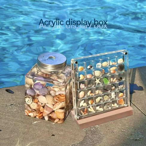 Acrylic Magnetic Seashell Display Box, Seashell Collection Box and Jewellery Display Box, Collection of Seashells for Display, Small Crafts Storage containers (Blend grids, Square) in Saudi Arabia