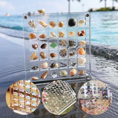 Acrylic Magnetic Seashell Display Box, Seashell Collection Box and Jewellery Display Box, Collection of Seashells for Display, Small Crafts Storage containers (Blend grids, Square) in Saudi Arabia