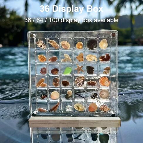 Acrylic Magnetic Seashell Display Box, Seashell Collection Box and Jewellery Display Box, Collection of Seashells for Display, Small Crafts Storage containers (Blend grids, Square) in Saudi Arabia