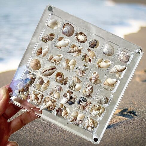 Acrylic Magnetic Seashell Display Box, Seashell Collection Box and Jewellery Display Box, Collection of Seashells for Display, Small Crafts Storage containers (Blend grids, Square) in Saudi Arabia