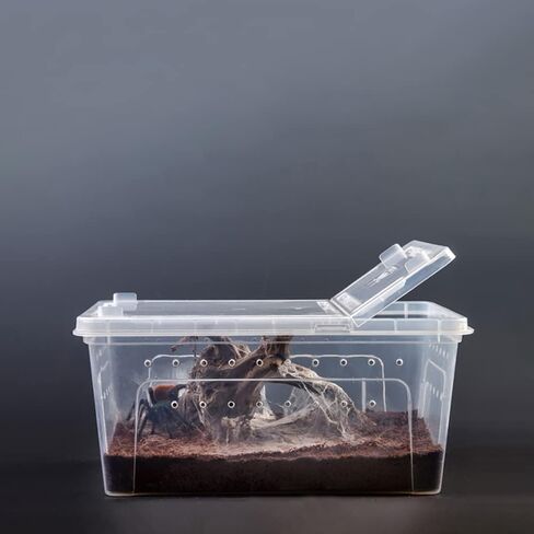 قطعتان من صندوق حاوية نقل الزواحف، أحواض زواحف بلاستيكية، تررم تررم الأفعى، صندوق تغذية حشرة الرتيلاء، خزان الحلزون، العنكبوت، قفص صغير، حارس المخلوقات in Kuwait