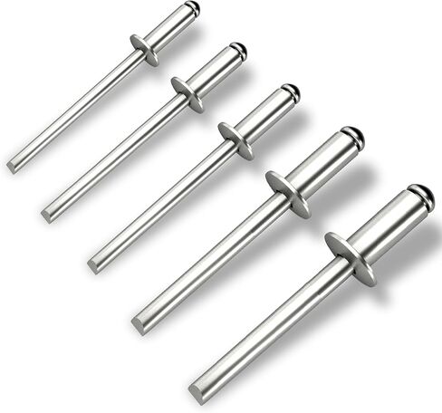 طقم برشام ألومنيوم 250 قطعة - 50 قطعة لكل منها بقطر 1/8 بوصة (3.2 مم)، Ø5/32 بوصة (4.0 مم)، Ø3/16 بوصة (5.0 مم)، Ø15/64 بوصة (6.0 مم)، 1/4 بوصة (6.4 ملم) الأحجام in Kuwait