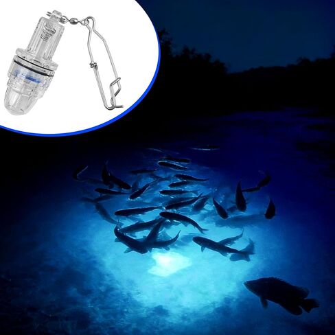 OROOTL LED أضواء الصيد تحت الماء تعمل بالبطارية ضوء الصيد العميق مع مشبك مقاوم للماء لجذب الأسماك مصباح إغراء أخضر أزرق أحمر أبيض متعدد الألوان 2،100 قدم in Saudi Arabia
