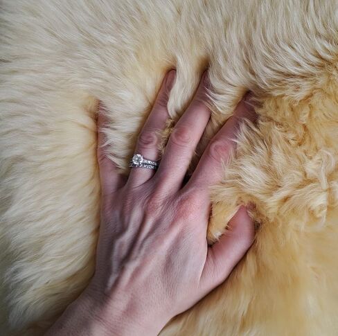 Medical Sheepskin Seat Pad | 100% Natural Wool Cushion for Wheelchair, Office Chair & Car Seat | Relieves Pain and Discomfort | Soothes Skin and Tailbone | Ultra Soft Luxury | Washable | 17" x 17" in Kuwait