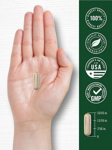 Ashwagandha Supplement 3000mg | 360 Capsules | Root Extract Supplement | Non-GMO, Gluten Free | by Carlyle in Saudi Arabia