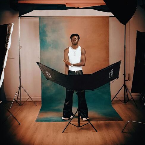 RAUBAY Quick-Open Curved Reflector, U-Shape Clamshell Light Reflector with 48in x 26in Photography Diffuser for Studio Portrait&Video Shooting, 4-in-1 Black/White/Silver/Gold, RAPIDLITE, CR-120 in Kuwait