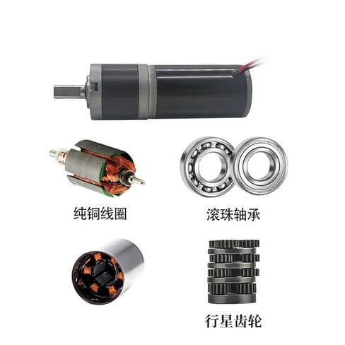 32-31ZY Planetary DC Reduction Motor Large Torque Gear Low Speed 24V Small Regulation Micro(24V421 Turn) in Saudi Arabia