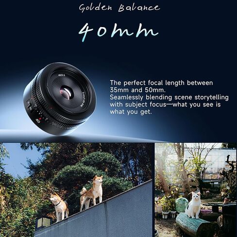 7artisans AF 40mm F2.5 Full-Frame Auto Lens for Sony E-Mount Cameras,Ultra-Compact Prime Lens with 9-Blade Aperture,Fast Autofocus,Ideal for Vlogging Street Photography and Video (90g, Black) in Kuwait