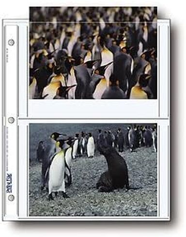 Print File 57-4P 5x7in. Photo Pages (100 pack) in Kuwait