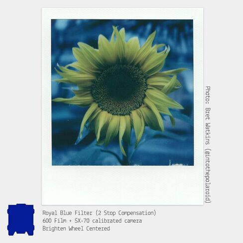 Colored Gel Filters for Instant Film Cameras (5-Pack) in Kuwait