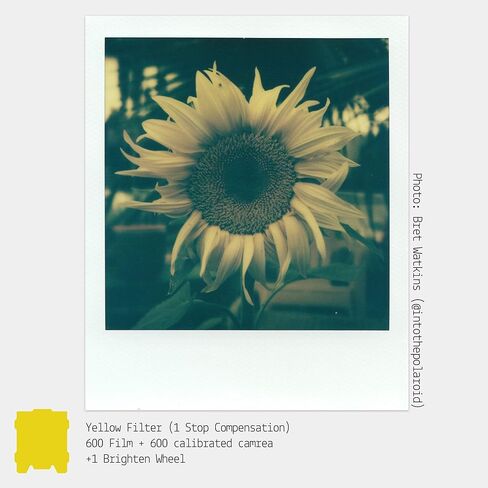 Colored Gel Filters for Instant Film Cameras (5-Pack) in Kuwait