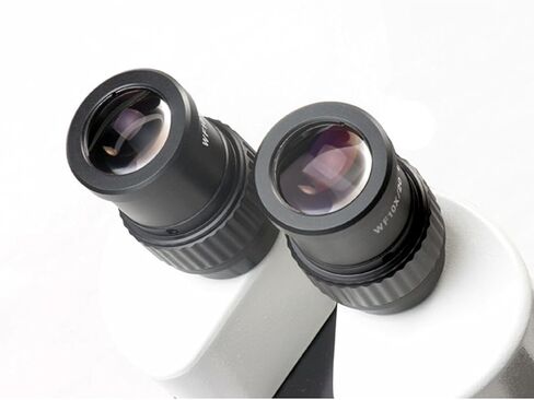 AmScope SM-1BZ-FRL مجهر تكبير ستيريو ثنائي العينين احترافي، عدسات WH10x، تكبير 3.5x-90x، هدف تكبير 0.7X-4.5X، ضوء حلقة فلورسنت، حامل عمود طاولة كبير، 110 فولت-240 فولت، يتضمن عدسات بارلو 0.5x و2.0x in Kuwait