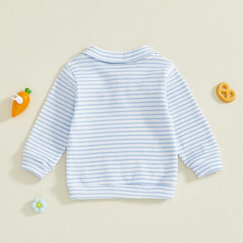 Toddler Baby Girl Boy Easter Outfit Bunny Carrot Embroidery Sweatshirt Tops Long Sleeve Polo Shirts Pullover Clothes in Kuwait