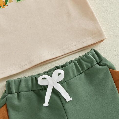 Kaipiclos Baby Boy First Birthday Outfit Dinosaur One Year Old 1st Birthday Boy Shirt Short Sleeve Tops Shorts Summer Clothes in Saudi Arabia