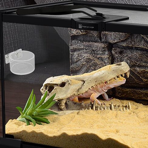 Jumping Spider Feeding Dish Cover, Decorative Magnetic Plastic Water Bowl and Tweezers, Jumping Spider Enclosure Accessories Magnetic Water Bowl Easy to Install in Kuwait