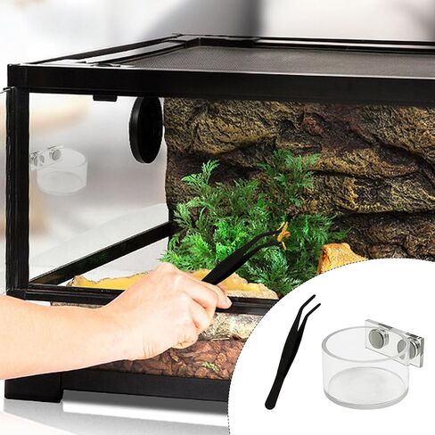 Jumping Spider Feeding Dish Cover, Decorative Magnetic Plastic Water Bowl and Tweezers, Jumping Spider Enclosure Accessories Magnetic Water Bowl Easy to Install in Kuwait