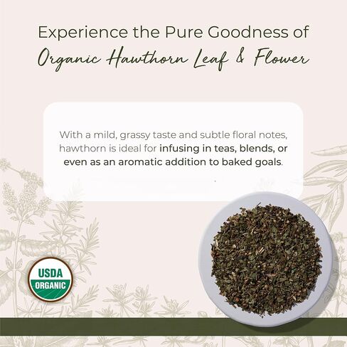 Organic Hawthorn Leaf & Flower C/S - 4 oz (SWB209350-34) in Saudi Arabia