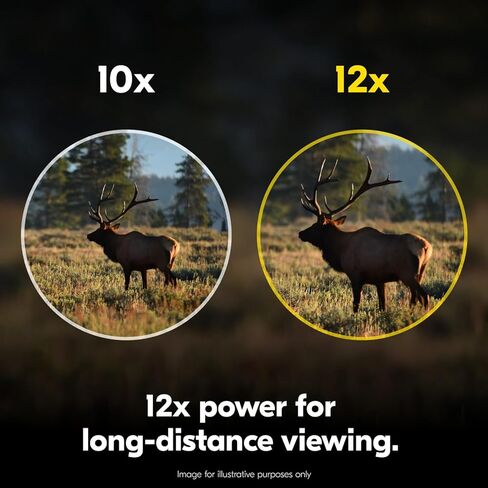 Nikon PROSTAFF P7 12x50 Binocular | High-Magnification Wide FOV Waterproof Fogproof 50mm Binocular with Multilayer-Coated Lenses and Locking Diopter | Wildlife Nature Observation Optic in Kuwait