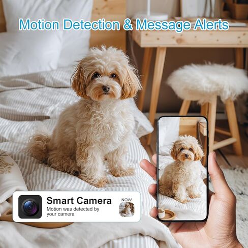 4K HD Mini 4G LTE Cellular Doorstep Vehicle Surveillance With Stairwell Camera, Home-Use Plug-Free Monitor Requiring,(No WiFi Required, Built-in SIM Card),Night Vision,Motion Detection Alerts. in Kuwait