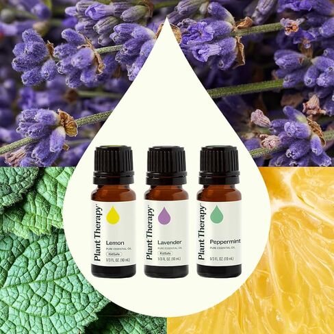 Plant Therapy Lemon, Lavender and Peppermint Essential Oil Set 10 mL (1/3 oz) 100% Pure, Undiluted, Therapeutic Grade in Kuwait
