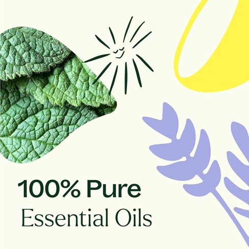 Plant Therapy Lemon, Lavender and Peppermint Essential Oil Set 10 mL (1/3 oz) 100% Pure, Undiluted, Therapeutic Grade in Kuwait