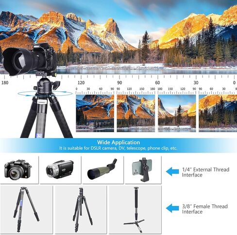 ARTCISE 56mm Low Profile Tripod Ball Head Black Arca Swiss CNC Aluminum Heavy Duty Camera Mount Lightweight 360° Panoramic Ballhead for DSLR Mirrorless Video Camera Monopods Max Loading 88lbs/40kg in Kuwait