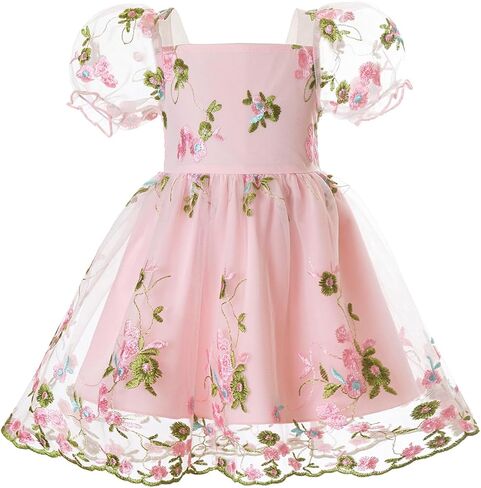 TTYAOVO Baby Girl Floral Embroidered Tulle Princess Dress Toddler Birthday Party Wedding Gown Infant 9-36 Months in Kuwait