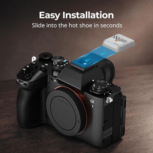 غطاء حذاء SmallRig Hot Shoe مكون من قطعتين (رمادي)، غطاء حماية لتركيب الحذاء الساخن لهاتف Sony A1 II / A9 III / A7 IV / A7 V / A7S III / A7R IV - (لا يستخدم مع القفص) in Kuwait