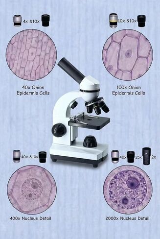 A208 Professional Lab-Grade Monocular Microscope, 2000X Magnification, Dual LED Illumination, White-Black, with Eyepieces and Accessories in Kuwait