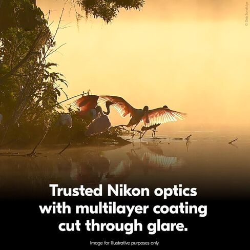Nikon Action 12x50 Binocular | Multilayer-Coated Nikon Optics, high-Power 12x Magnification, Bright 50mm Objective Lenses, Turn-and-Slide Adjustable eyecups and Tripod-Ready Porro-Prism Design in Kuwait