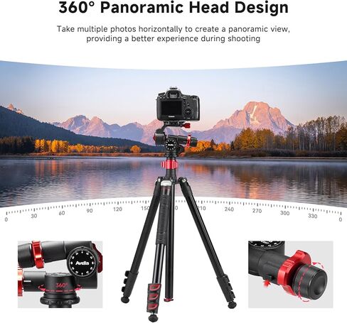 Avella 2 Way Geared Tripod Head with Millimeter Micro Adjustment, Aluminum Alloy Pan Tilt Head, 360° Panoramic Arca Type QR Plate Compatible with Sony Canon Nikon DSLR Cameras, Max Load 13.2lb, V507 in Kuwait