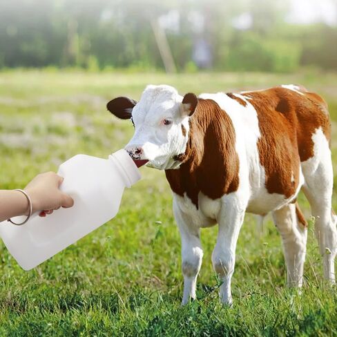 Calf Bottle with a Replacement Screw-on Nipple 2.11quart Lamb Milk Feeding Bottle for Lamb foal in Kuwait
