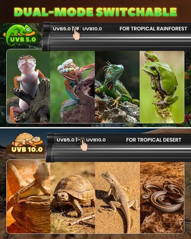 Glowup 8W T5 10.0 UVB reptile Light Combo Kit للزواحف الصحراوية الاستوائية ، وتصميم إضاءة UVB 12.4 بوصة للتنين الملتحي ، والسحلية ، والسلحفاة ، والسلحف مع أنبوب HO T5 UVB in Kuwait