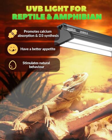 Glowup 8W T5 10.0 UVB reptile Light Combo Kit للزواحف الصحراوية الاستوائية ، وتصميم إضاءة UVB 12.4 بوصة للتنين الملتحي ، والسحلية ، والسلحفاة ، والسلحف مع أنبوب HO T5 UVB in Kuwait