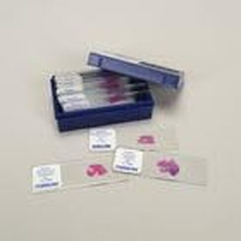 Malignant Tissues Microscope Slide Set in Kuwait