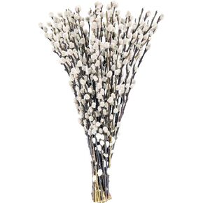 40 ينبع 17.5 بوصة 100% فروع الصفصاف المجففة الطبيعية الحقيقية للمزهرية الصفصاف الزهور المجففة الهرة للديكورات المنزلية، الزفاف in Kuwait