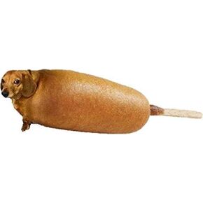 MR3Graphics Magnet Corn Dog Magnetic Car Sticker Decal Bumper Magnet Vinyl 5"