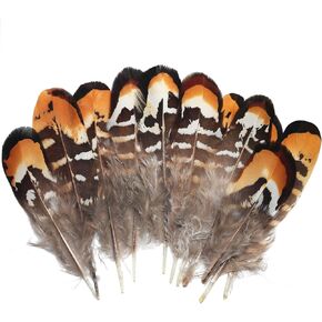 LUORNG 10PCS DIY Natural Wild Chicken Feather Earrings Headband Clothing Hat Ethnic Feather Jewelry Accessories Craft Material Decorative Feathers Large Yellow Plumes 10cm