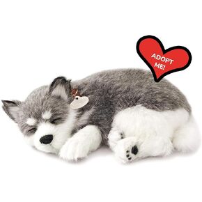 Original Petzzz Alaskan Husky, Realistic Lifelike Stuffed Interactive Pet Toy, Companion Pet Dog with 100% Handcrafted Synthetic Fur